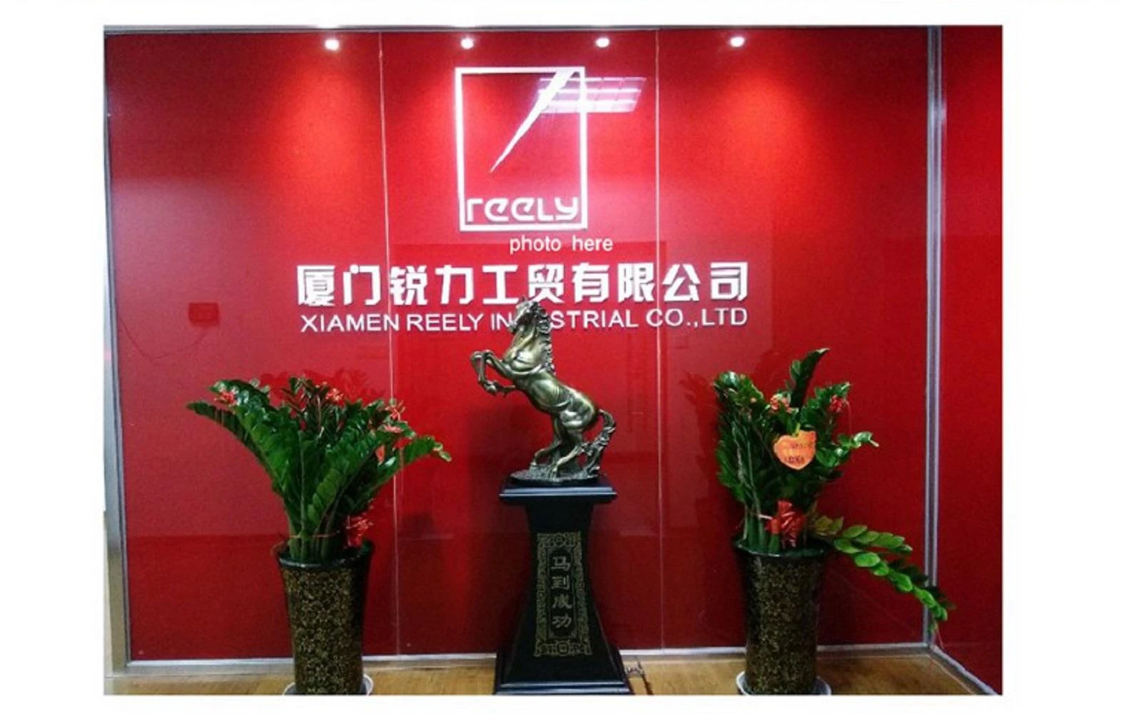 company information - 副本